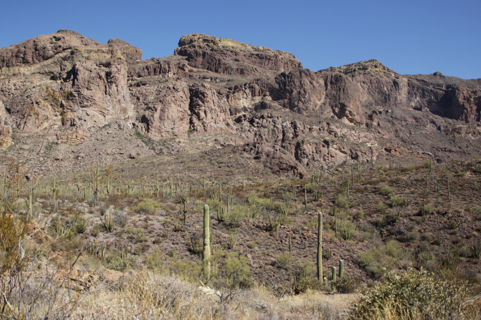 Ajo Mountain Drive loop, Organ Pipe Cactus National Monument, Arizona.