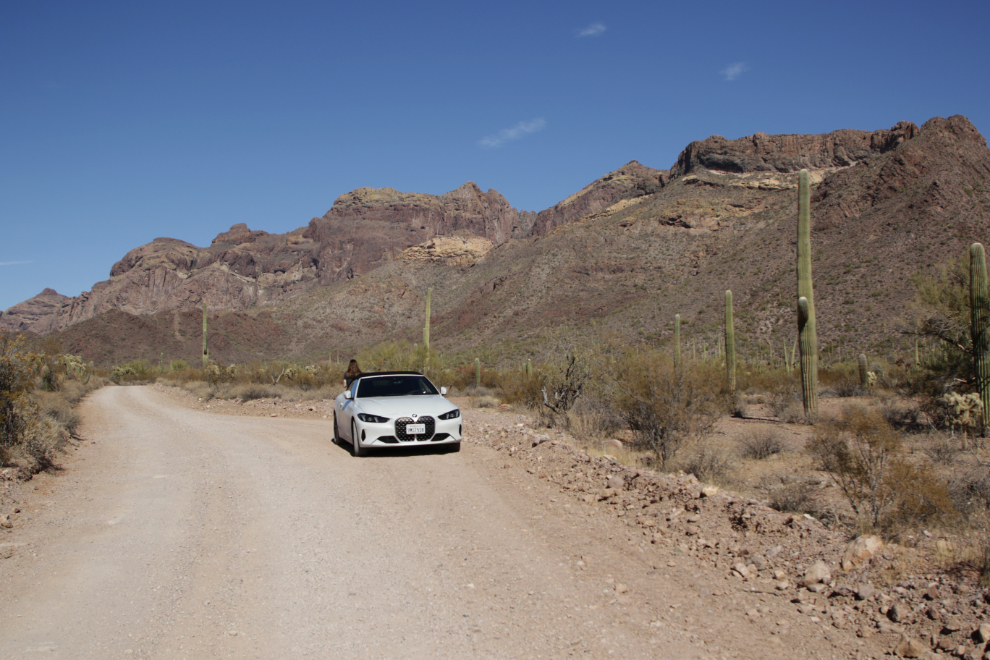 Ajo Mountain Drive loop, Organ Pipe Cactus National Monument, Arizona.