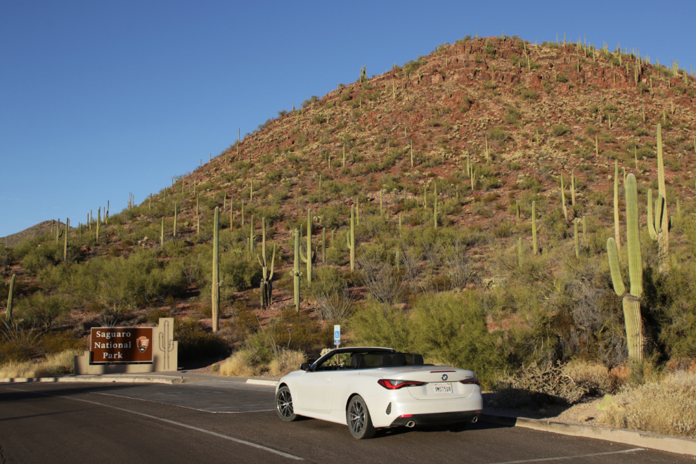 Saguaro National Park, Arizona.