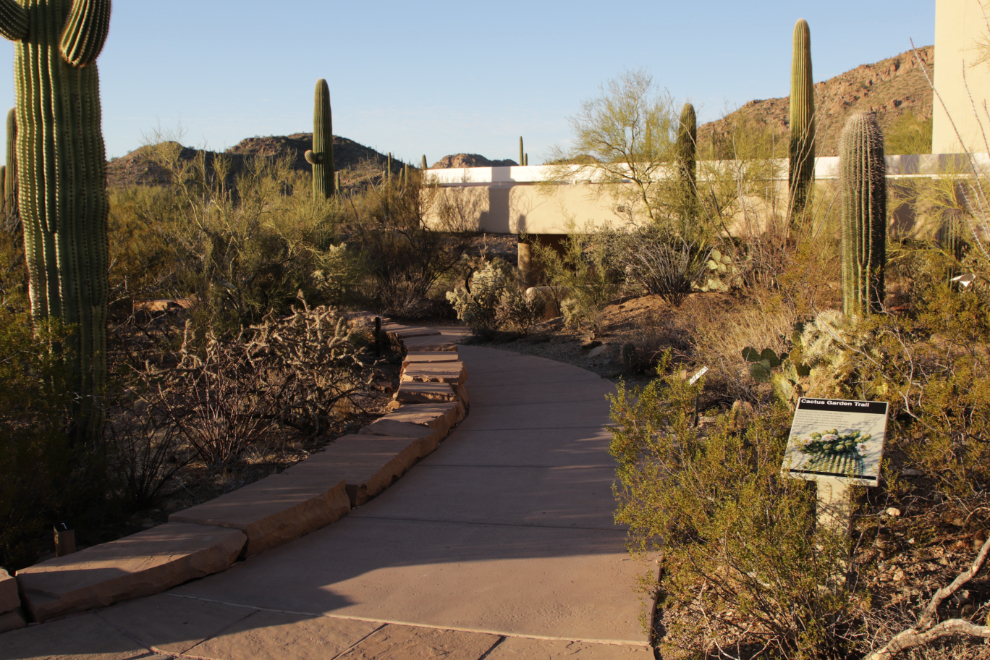 Red Hill Visitor Center, Saguaro National Park, Arizona.