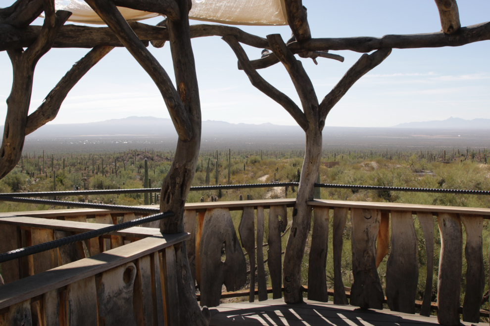 The view from the Arizona-Sonora Desert Museum.