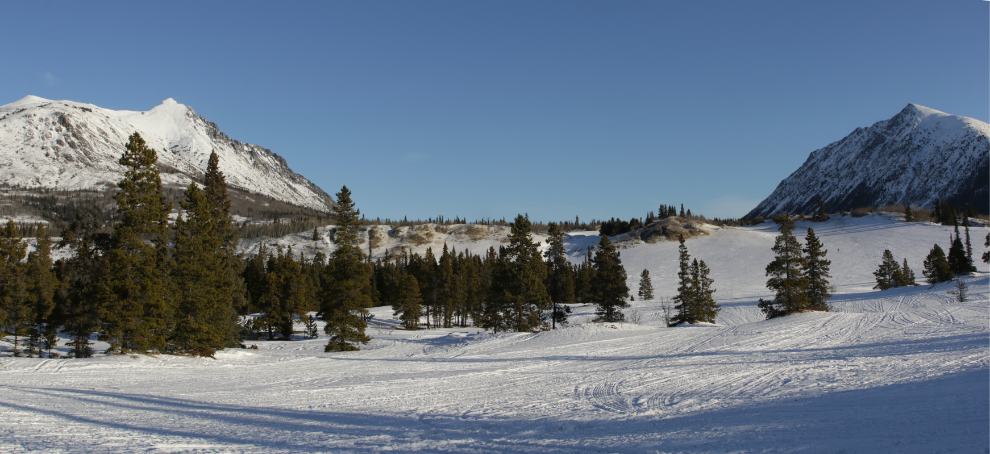 The Carcross Desert in January.