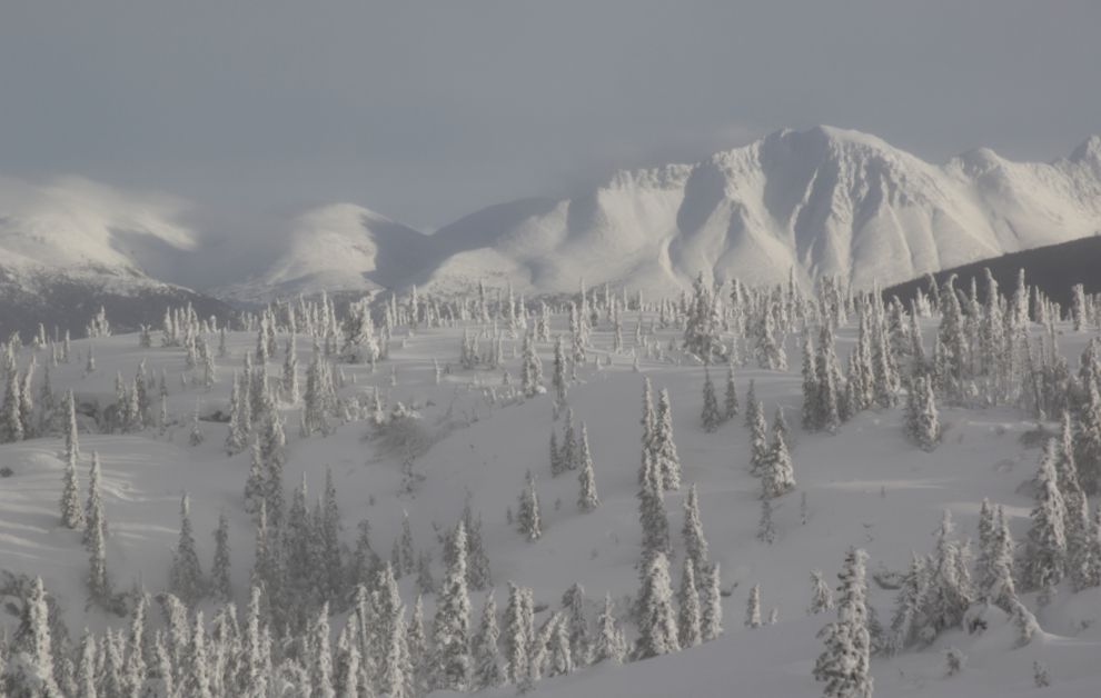 The view along the South Klondike Highway near the White Pass in January. 