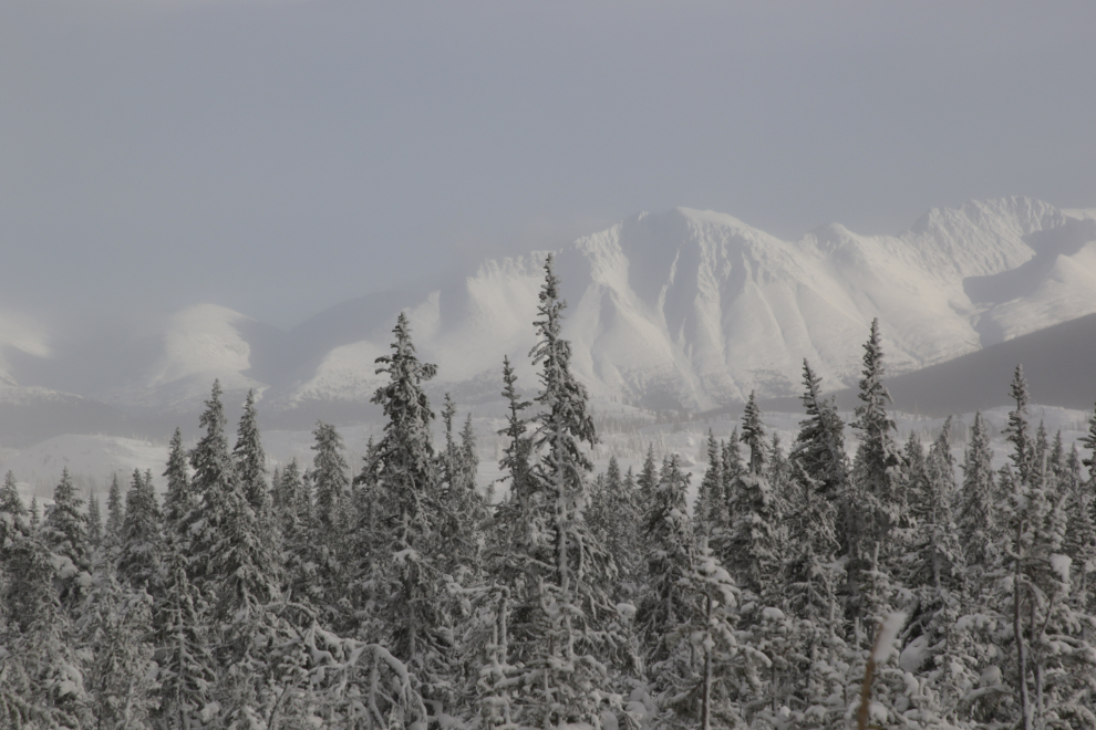 The view along the South Klondike Highway near the White Pass in January. 