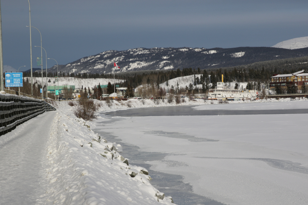 A winter walk on the Millennium Trail in Whitehorse