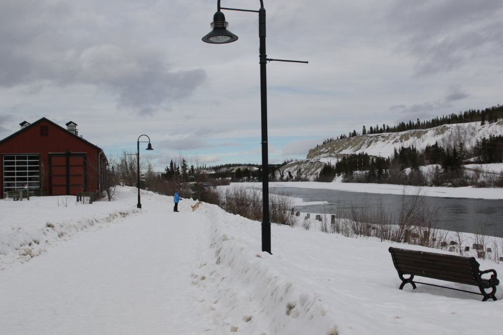 The Waterfront Trail in Whitehorse, Yukon