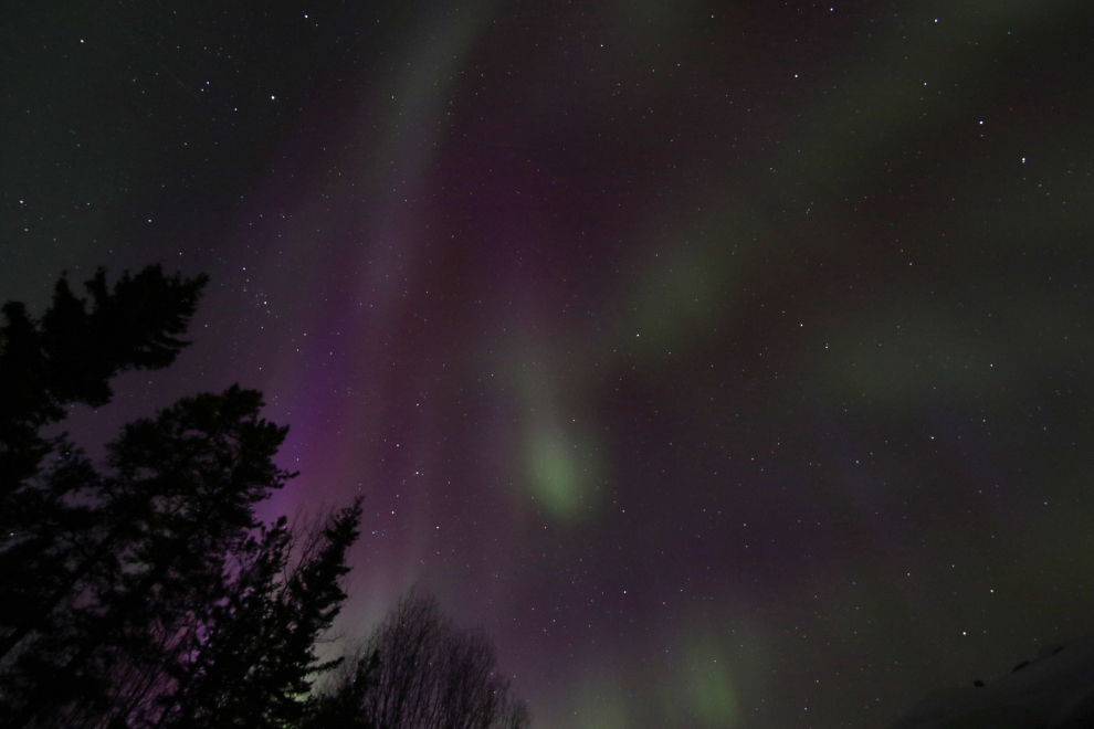 The aurora borealis at Whitehorse, Yukon.