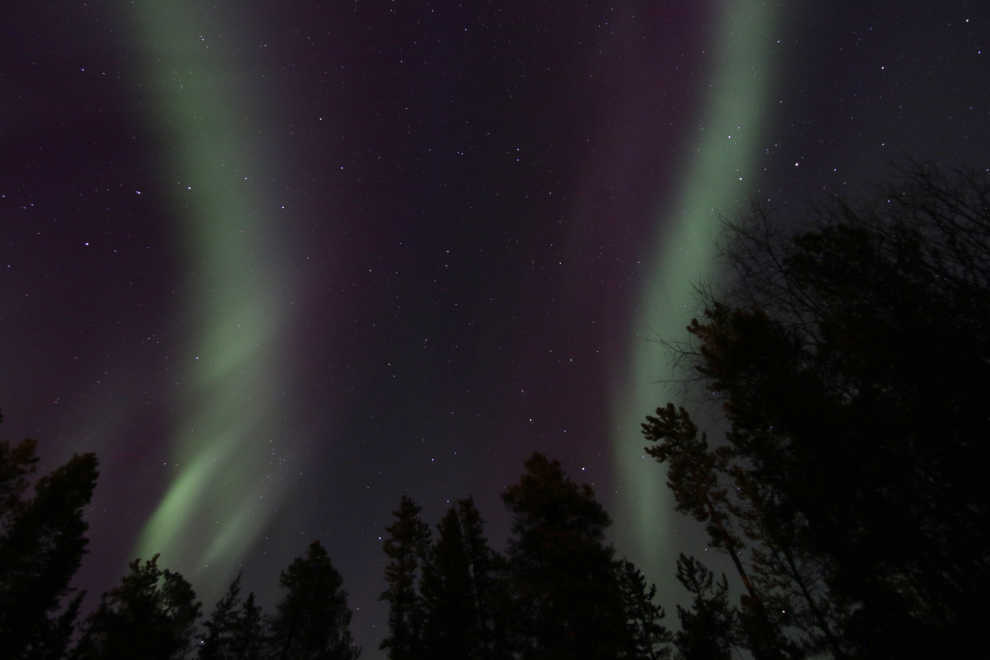 The aurora borealis at Whitehorse, Yukon.