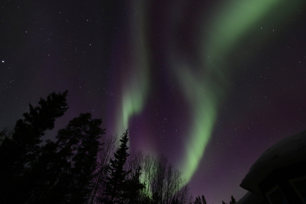 The Northern Lights at Whitehorse, Yukon.