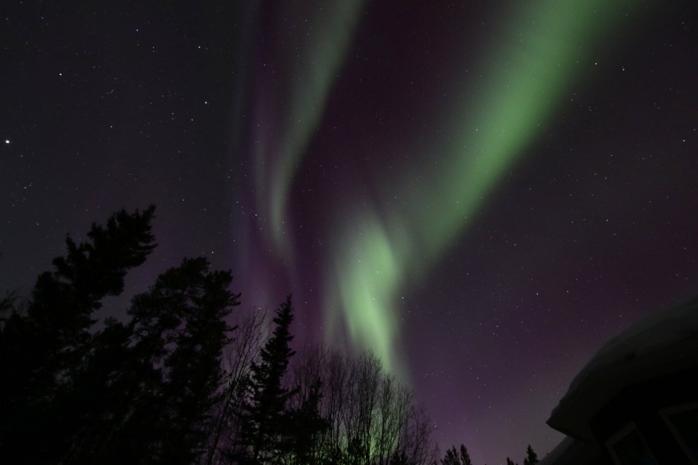 The Northern Lights at Whitehorse, Yukon.