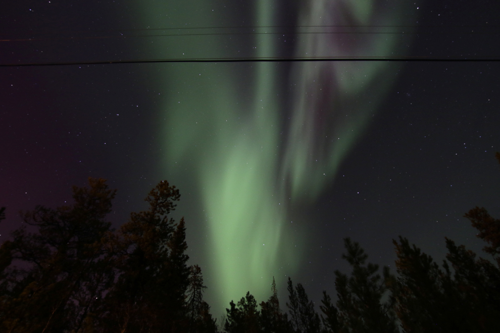 The Northern Lights at Whitehorse, Yukon.