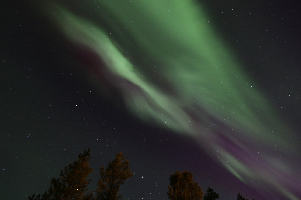 The Northern Lights at Whitehorse, Yukon.