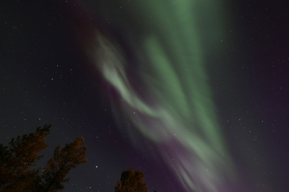 The Northern Lights at Whitehorse, Yukon.