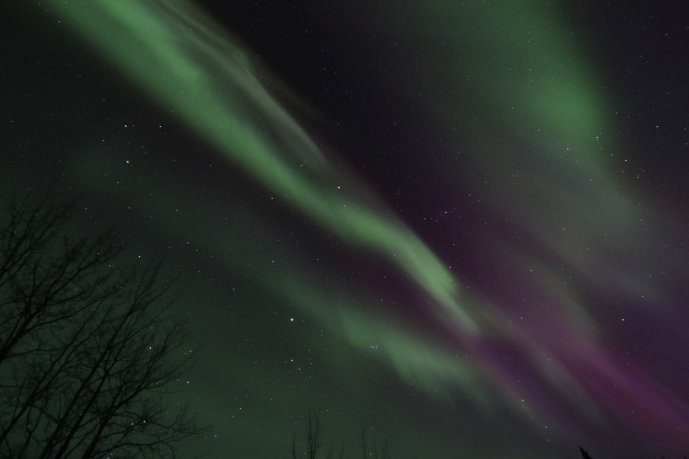 The Northern Lights at Whitehorse, Yukon.