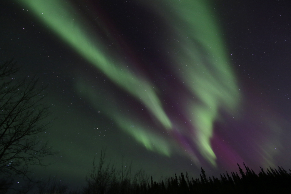 The Northern Lights at Whitehorse, Yukon.