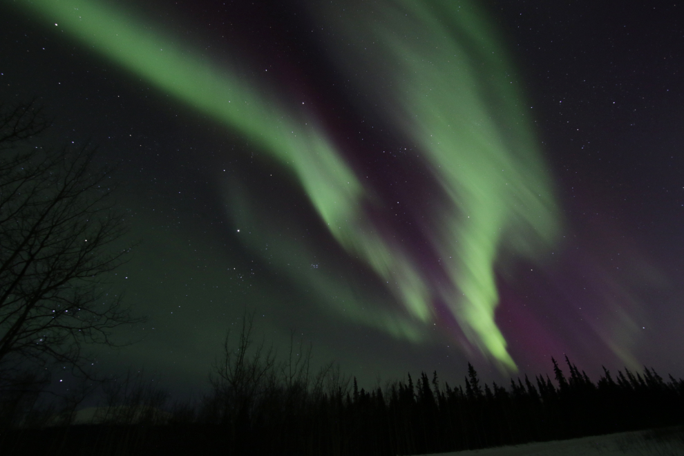 The aurora borealis at Whitehorse, Yukon.