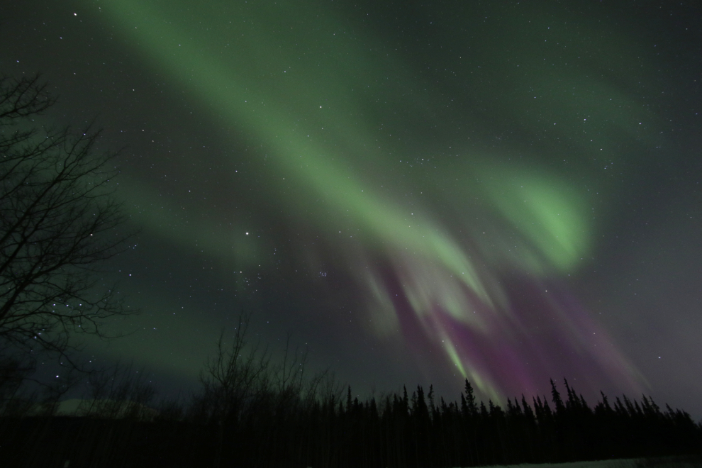 The Northern Lights at Whitehorse, Yukon.