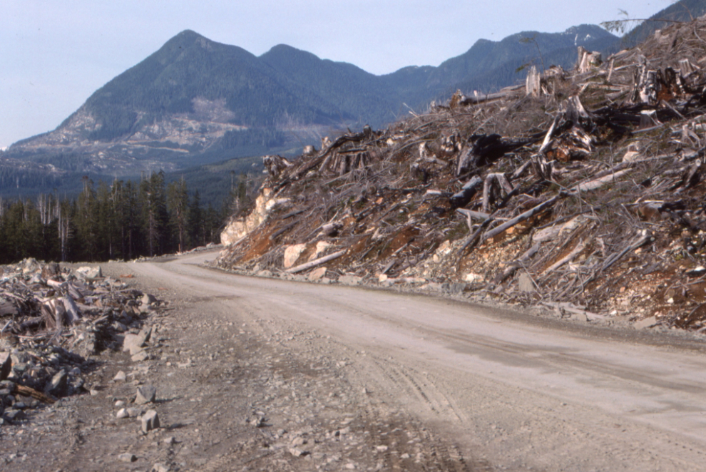 Logging clearcuts near the head of Carmanah Creek.