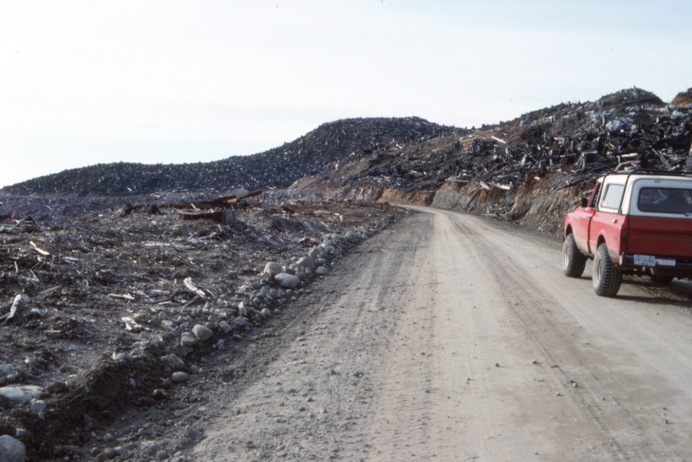 Driving to the Carmanah Valley through a recently-logged area.