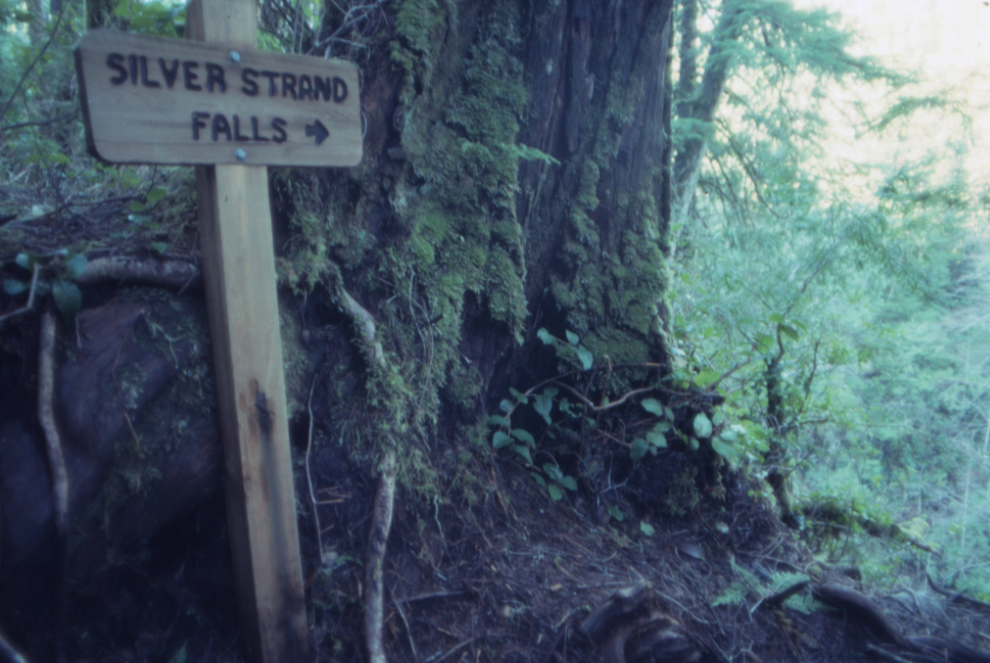A carved sign pointed to Silver Strand Falls dropping into Carmanah Creek.