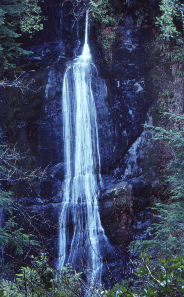 A carved sign pointed to Silver Strand Falls dropping into Carmanah Creek.