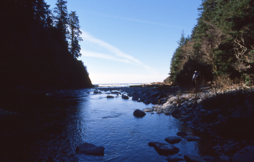 Nearing the mouth of Carmanah Creek.