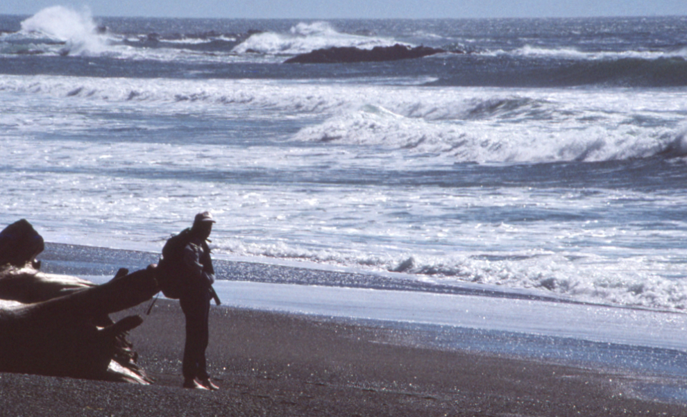 The beach near the mouth of Carmanah Creek, 1990.