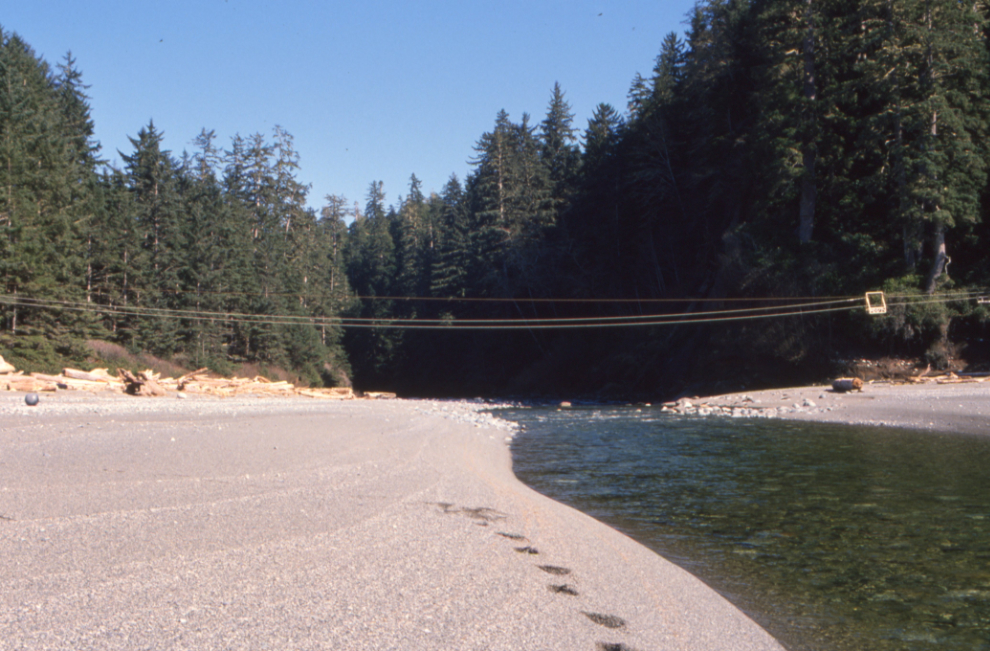 A cablecar across the mouth of Carmanah Creek, 1990.