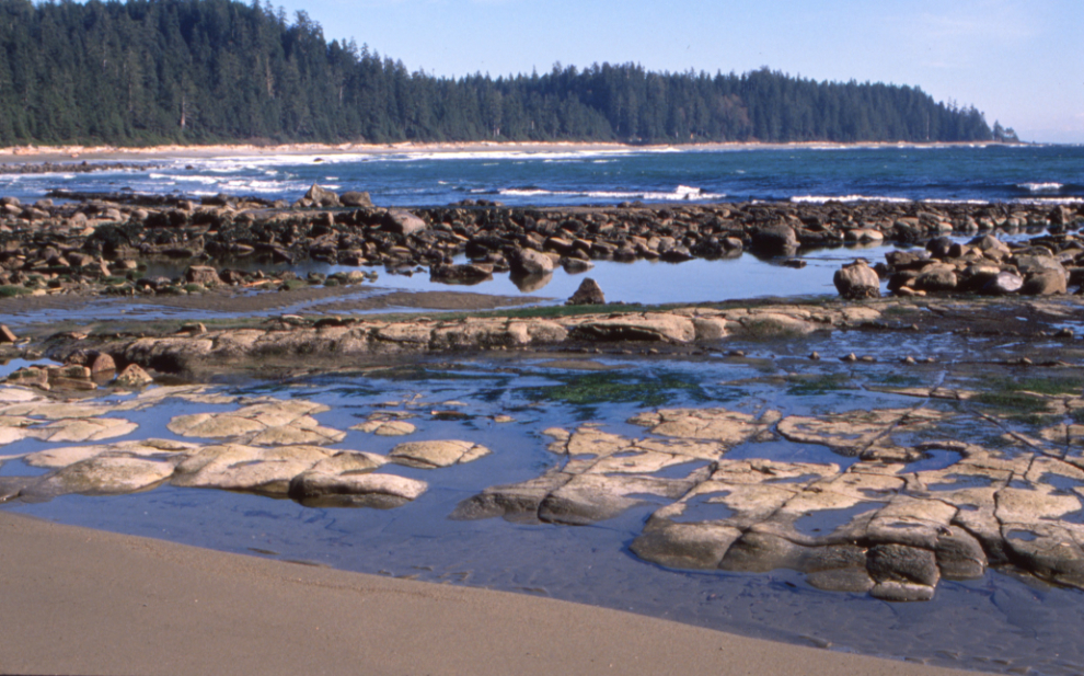 There are some fascinating outcroppings of rock along the beach near the mouth of Carmanah Creek.