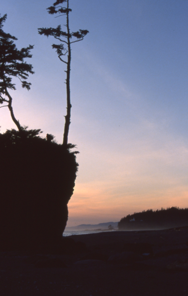 Sunset on the beach at the mouth of Carmanah Creek.