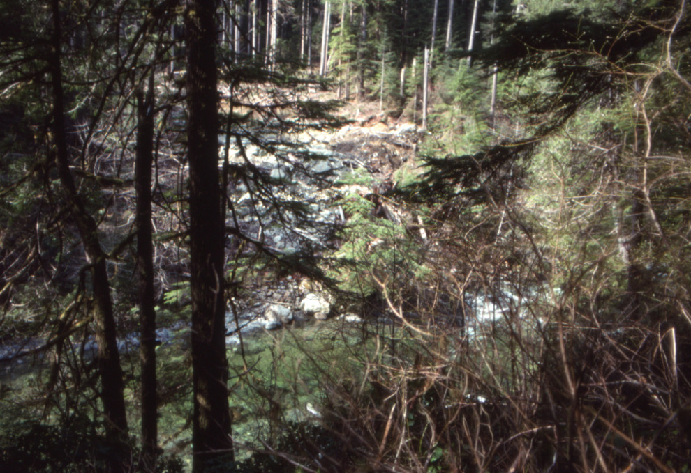 Logging along Carmanah Creek, 1990.