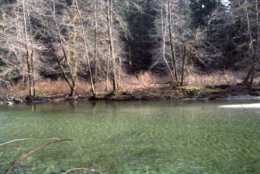 This lovely pool on Carmanah Creek is noted as being "west of Heaven Camp."