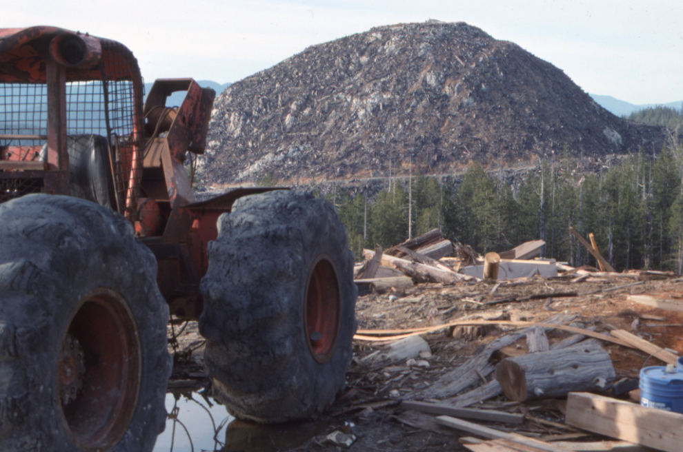 An area being actively logged in the Nitinat Lake area west of Carmanah.