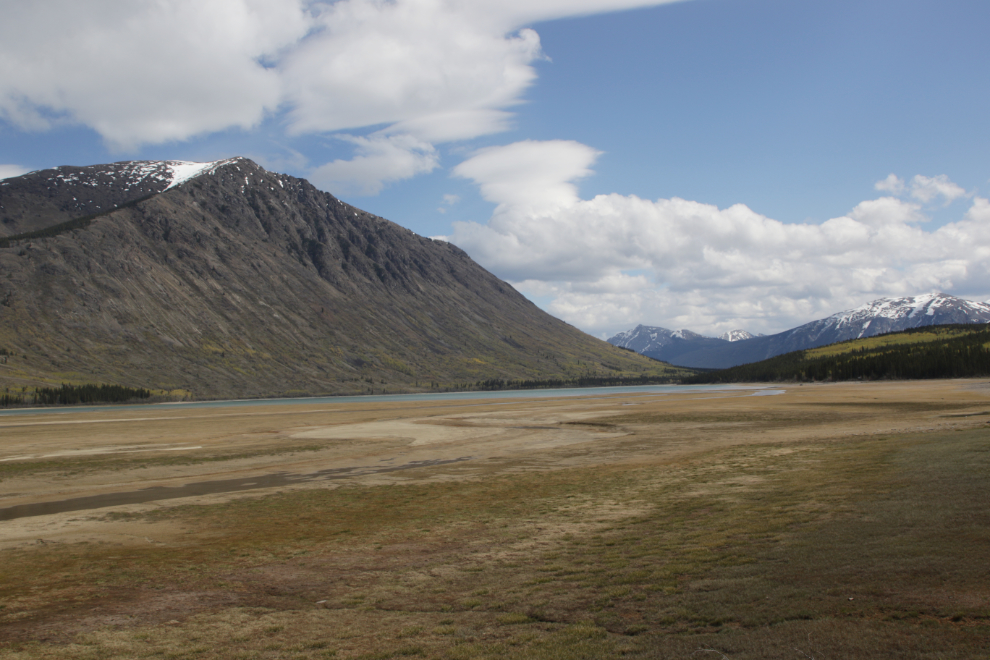 At low Spring water levels, Nares Lake at Carcross looks more like Nares Meadow.