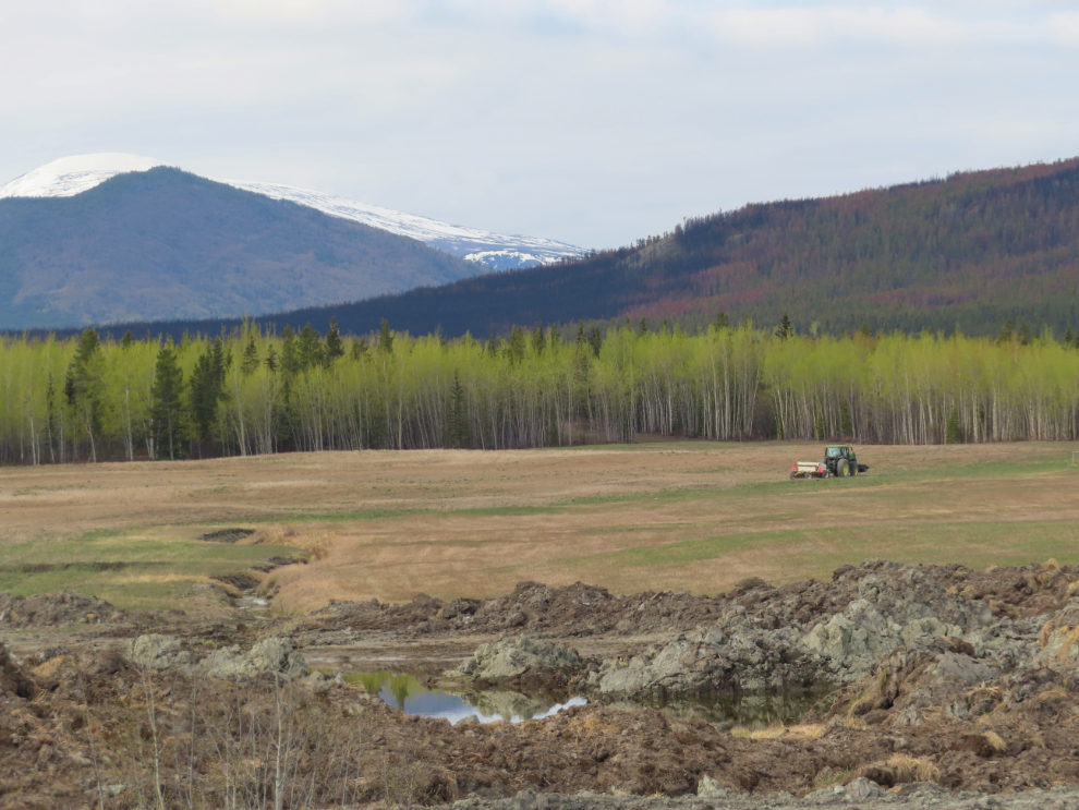 A farm along the Alaska Highway west of Whitehorse, Yukon.