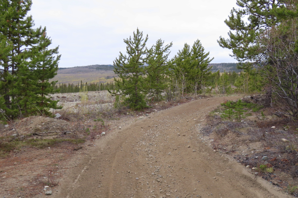 The start of the Stony Creek Trail, Yukon.