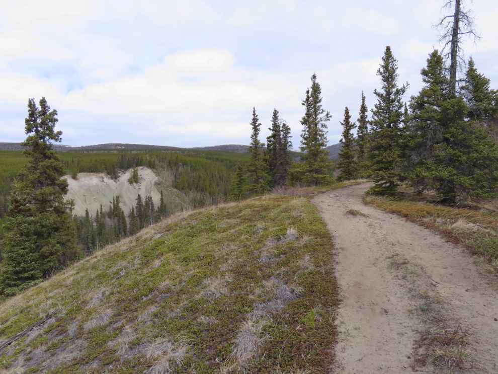 Stony Creek Trail, Yukon.