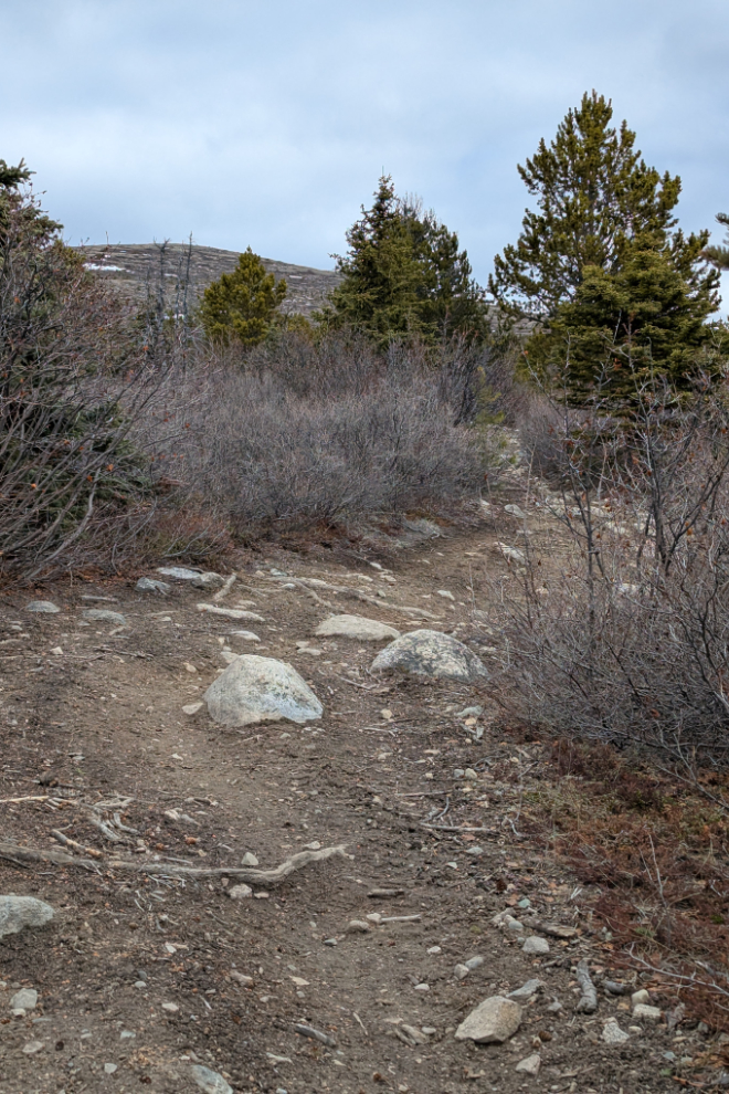 Rocky section of the Stony Creek Trail, Yukon.
