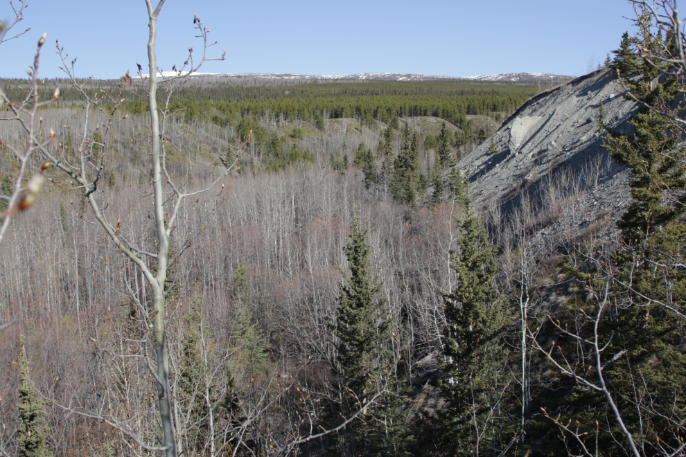 Stony Creek valley, Yukon.