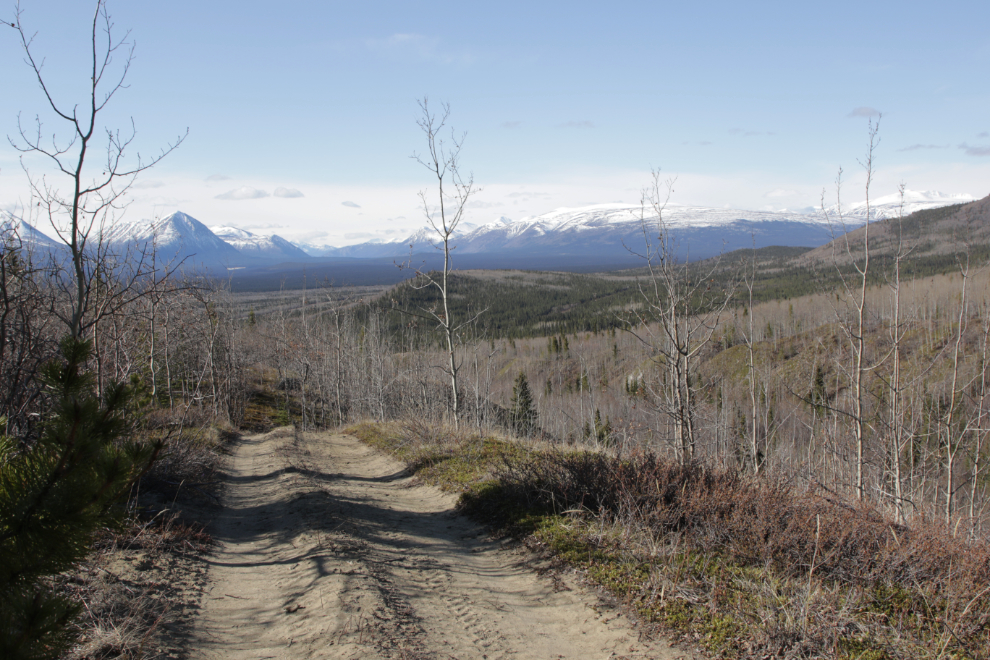 Stony Creek Trail, Yukon.