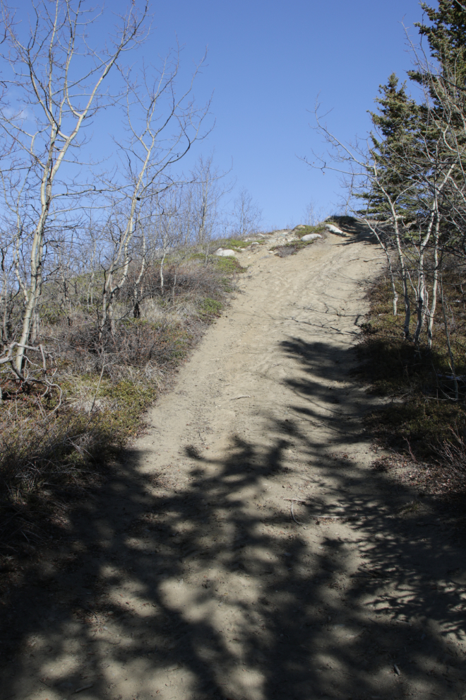 Steep hill on the Stony Creek Trail, Yukon.