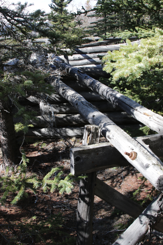 Unknown log structure along the Stony Creek Trail, Yukon.