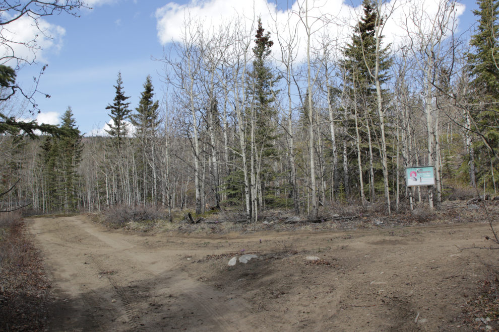 Terra Magnetta's "Hand Dug Mine" on the Stony Creek Trail, Yukon.