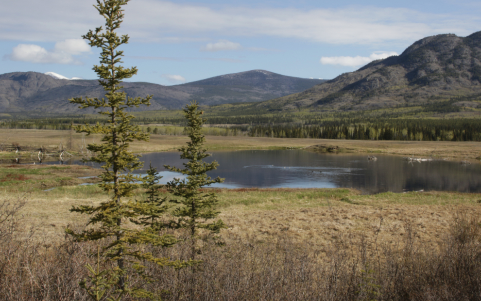 A farm along the Alaska Highway west of Whitehorse, Yukon.