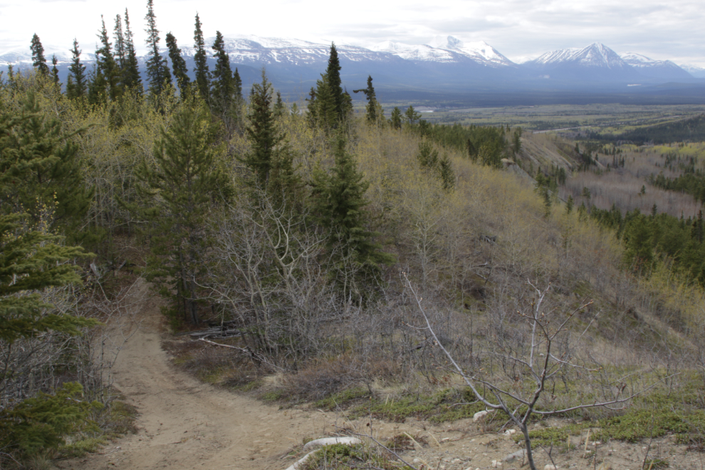 Steep hill on the Stony Creek Trail, Yukon.