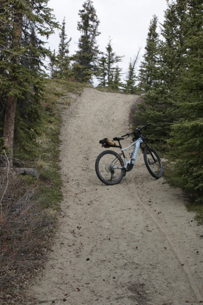 Steep hill on the Stony Creek Trail, Yukon.