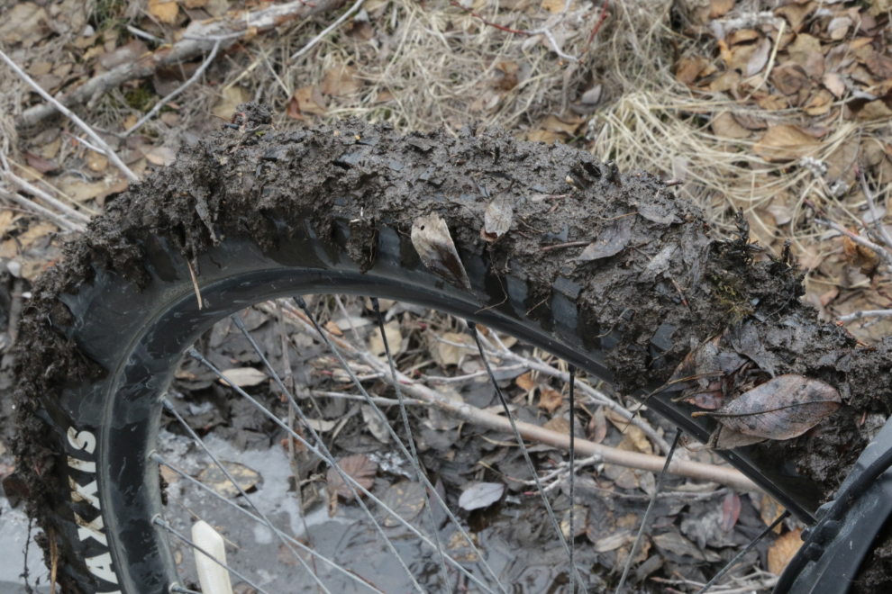Muddy section of the Stony Creek Trail, Yukon.