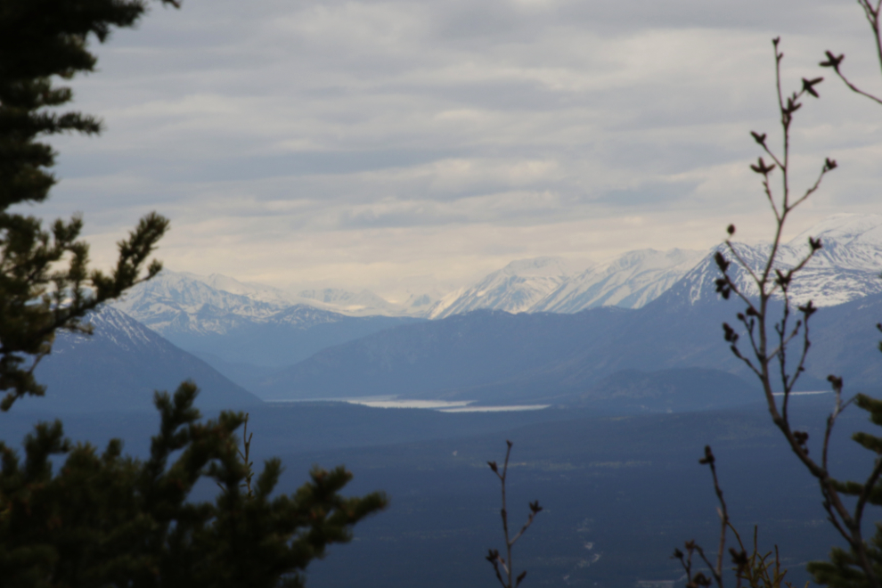 Kusawa Lake, seen from the Stony Creek Trail, Yukon.