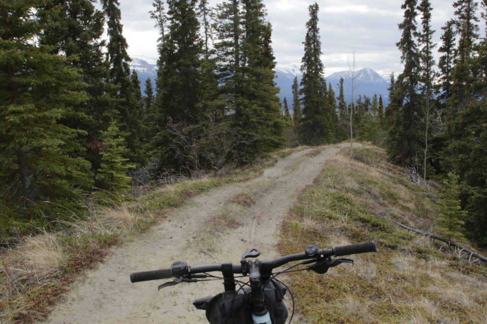 Stony Creek Trail, Yukon.