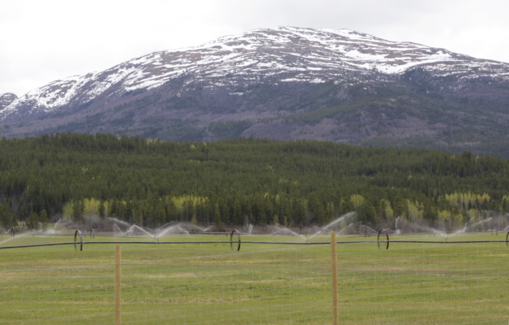 Irrigation on a farm along the Alaska Highway west of Whitehorse, Yukon.